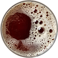 beer_transparent_02 https://mainchannelbrewing.com/wp-content/uploads/2017/05/beer_transparent_02.png
